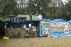 Zase v lese 2020