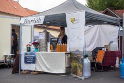 Žernosecké vinobraní 2025