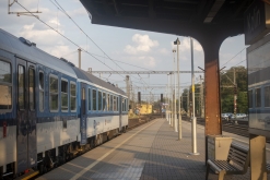 ZASE v LESE 2021