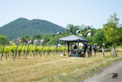 Putování po vinicích Malých Žernosek 2022