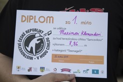 Terezínská cihla - počtvrté