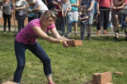 Terezínská cihla - počtvrté