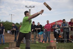 Terezínská cihla - počtvrté