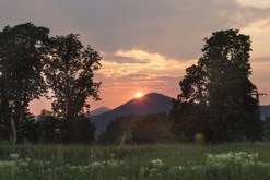 Terezínská cihla - počtvrté