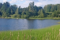 Acidelka Open Air 2017