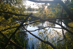 Acidelka Open Air 2017