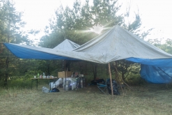 Matuřitní přeplesk