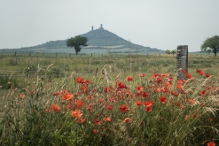 Matuřitní přeplesk