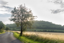 Drumybassy Open Air 2021