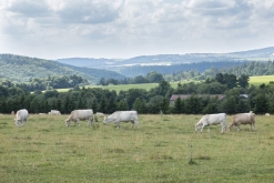 RAVE4REDON - Rýmařov, Šumperk