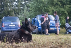 BSC + guests summer rave