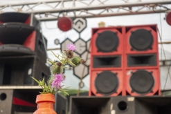 BSC + guests summer rave