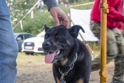 BSC + guests summer rave