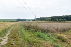 BSC + guests summer rave