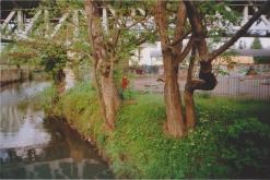 GRILL PARTY VOL. LAST?! - rozloučení a demolice skateparku Litoměřice