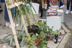 Zažít Roudnici jinak 2020 vol. VII