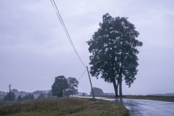 VIRUS + S.P.O.K. FORCE