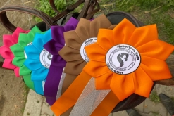 IX. Hubertova jízda Třebívlice