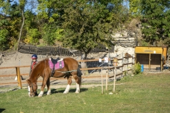 IX. Hubertova jízda Třebívlice