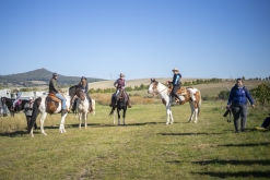 IX. Hubertova jízda Třebívlice