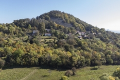 IX. Hubertova jízda Třebívlice