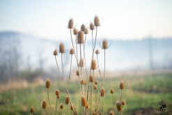 SEWERCZAROTEK 2022 - Kyjice, Ústecký kraj