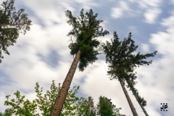 Step Evolution 6 - Rekreační středisko Hadinka, Klokočov