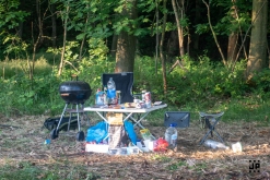 UST vs Spiral Structure