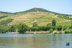 Putování po vinicích Malých Žernosek 2022