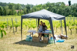 Putování po vinicích Malých Žernosek 2022