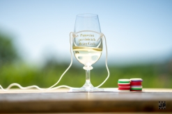 Putování po vinicích Malých Žernosek 2022