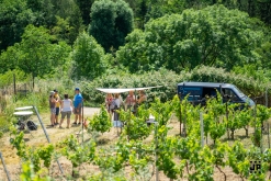 Putování po vinicích Malých Žernosek 2022