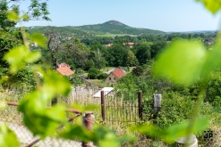 Putování po vinicích Malých Žernosek 2022