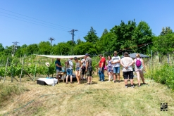Putování po vinicích Malých Žernosek 2022