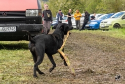 Czarotek 2023: Wottek, WCA, Badtekk, Spectro, Strojobal