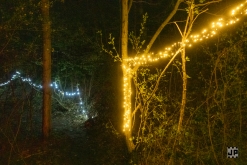 Wurning the Bitches 2: Deposit, MHD, Your Mama