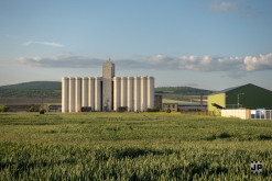 Zoo na vsi! - Comor Teror, Kouzelnej Kolotoč, MHD