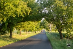 Zoo na vsi! - Comor Teror, Kouzelnej Kolotoč, MHD