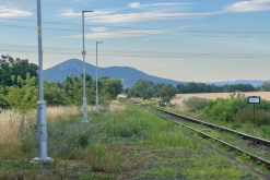 ZlOmVaZ: Lobotomic sound