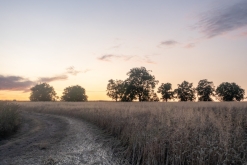 ZlOmVaZ: Lobotomic sound