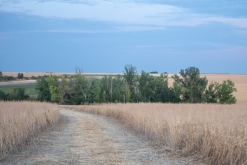 ZlOmVaZ: Lobotomic sound