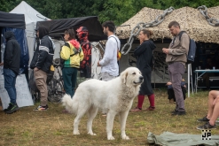 Sound System United: Metek, Neumatix, WCA (28.-30.7.2023)