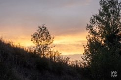 OKTEKK Party (18.-20.8.2023)