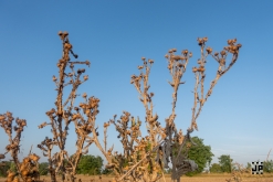 OKTEKK Party (18.-20.8.2023)