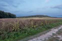 BSC summer rave 2023