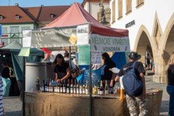 Vinobraní Litoměřice 2023