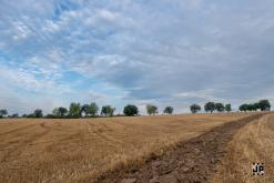 Oktekk - 26th Anniversary party