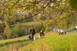 Krakonošův czarotek 2024