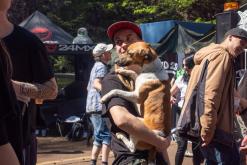 Krakonošův czarotek 2024