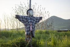 Čarodky na Humberku 2024